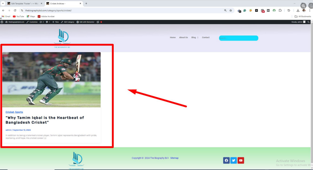 WordPress-customization