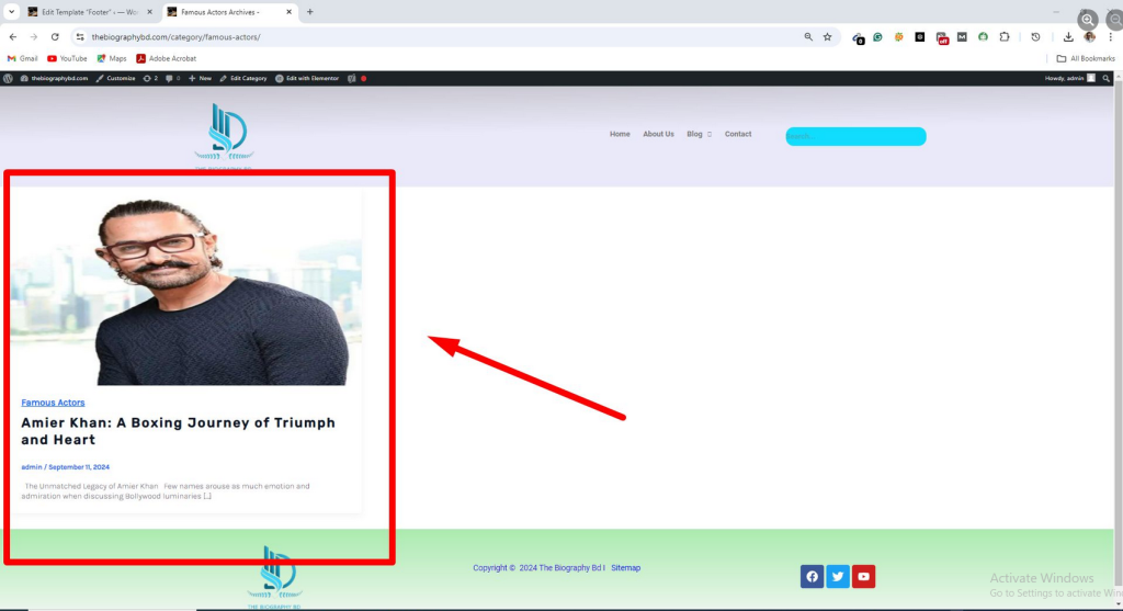 WordPress-customization