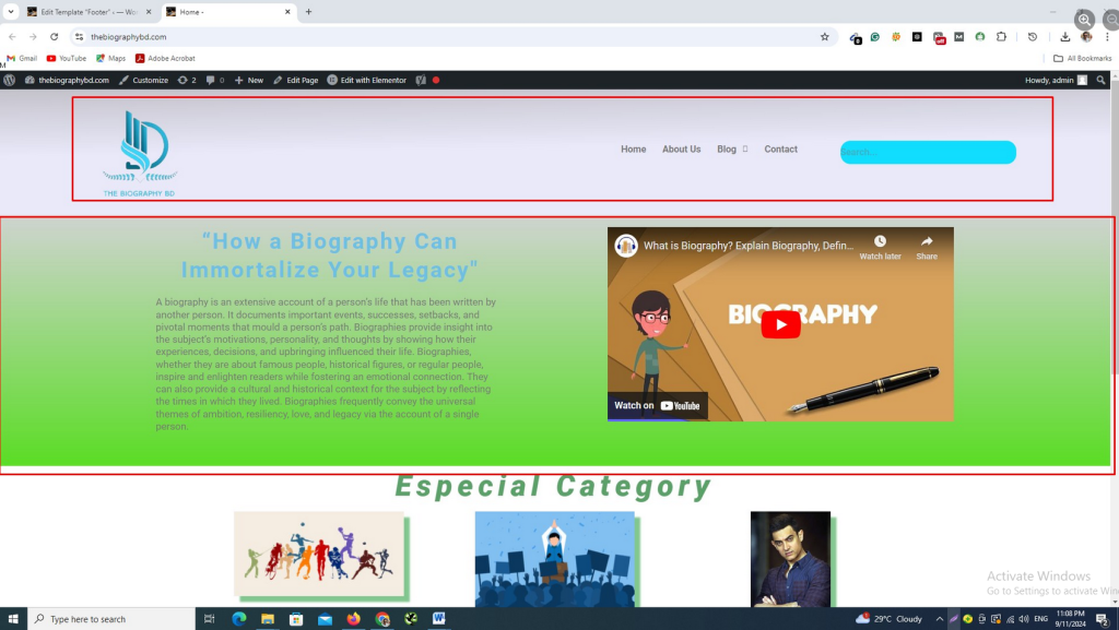WordPress-customization